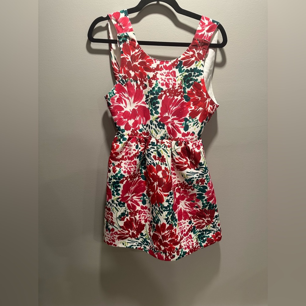 Vineyard Vines Floral Kids Dress - Red and Green